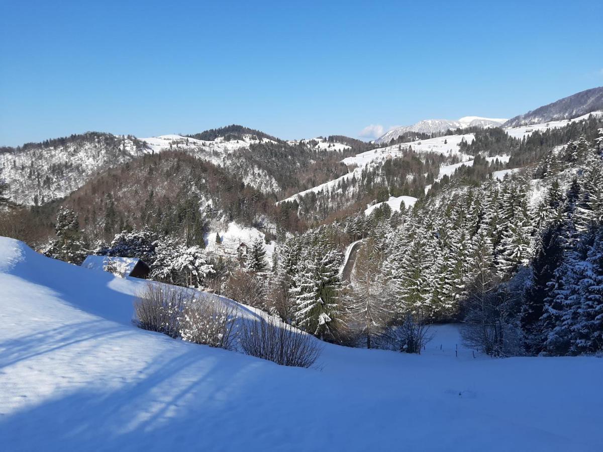 Apartma Teloh Kopacnica Экстерьер фото